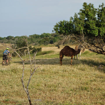 A Bike Ride through Romania