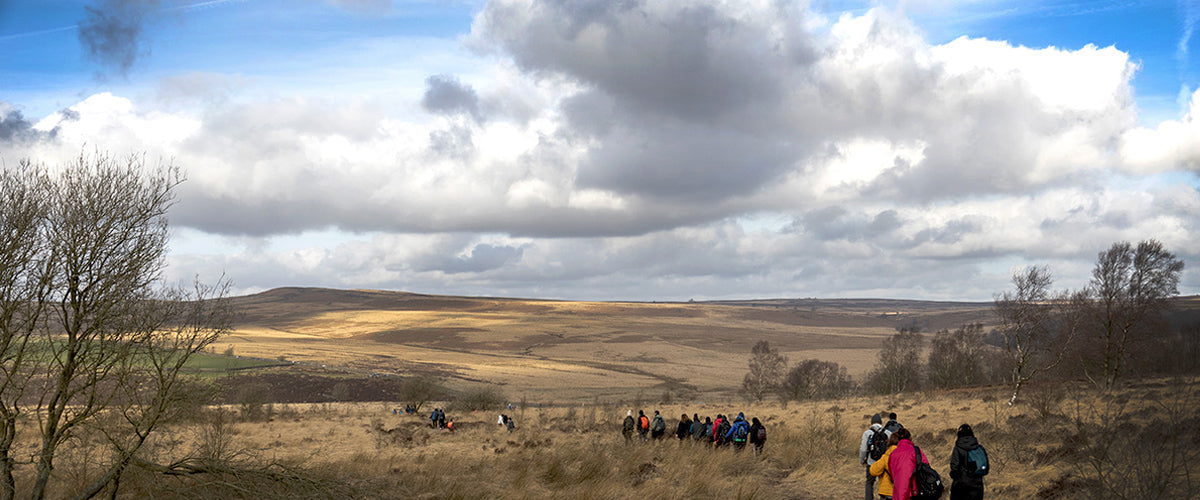 Helping Peak District Mosaic Develop