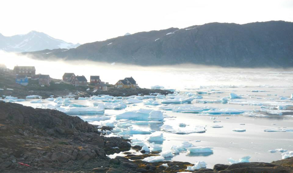 Polar Bears and Paddleboards