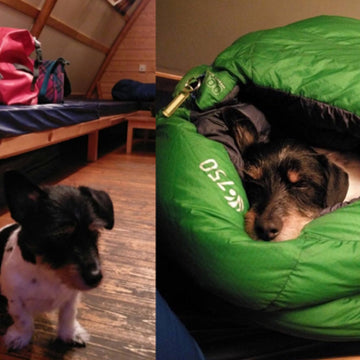 Wild Child to Adventure Aficionado