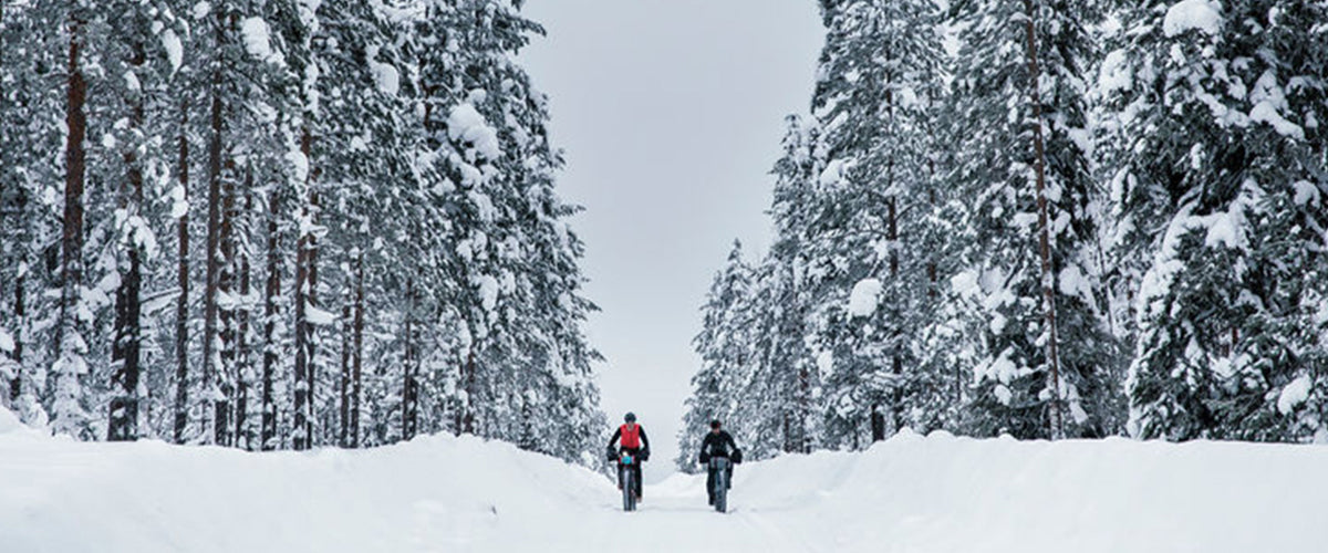 A Calling to the Arctic, part 1