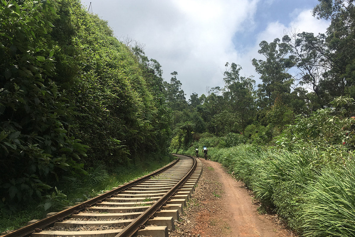 Jungle Rumble - Part 1