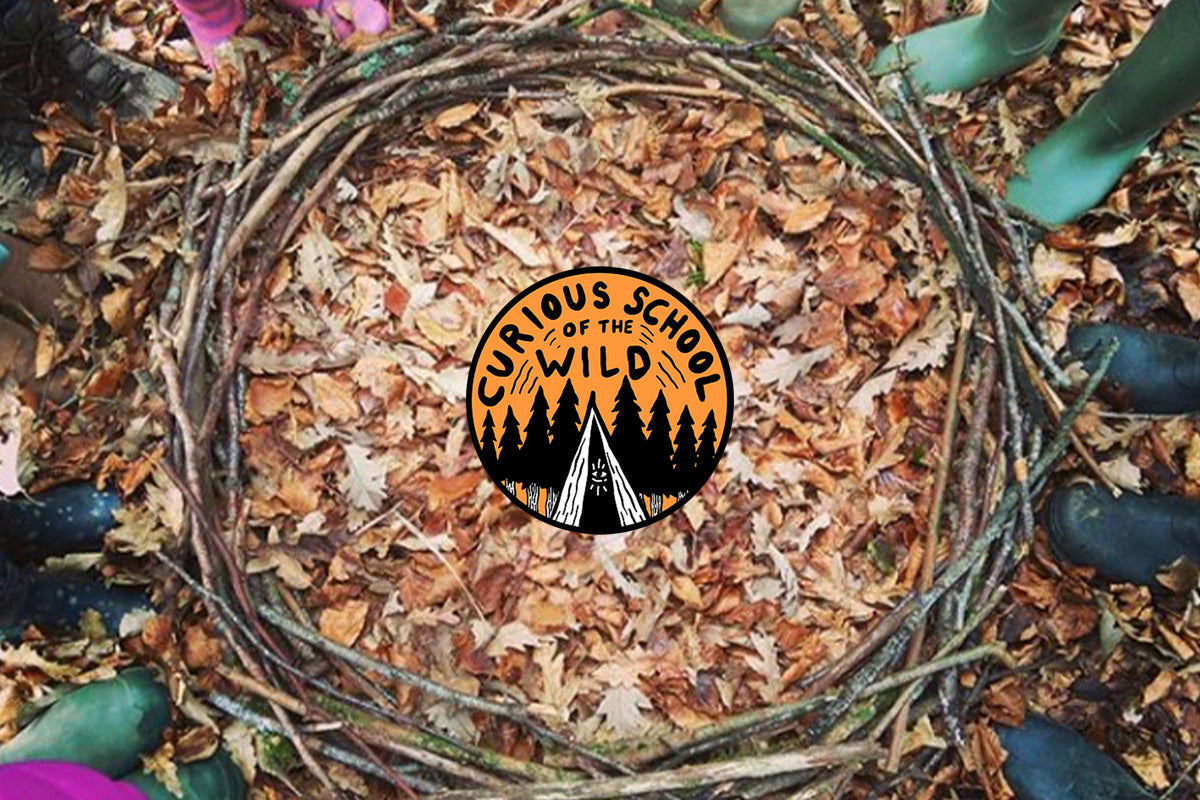 Curious and Wild Nights Out