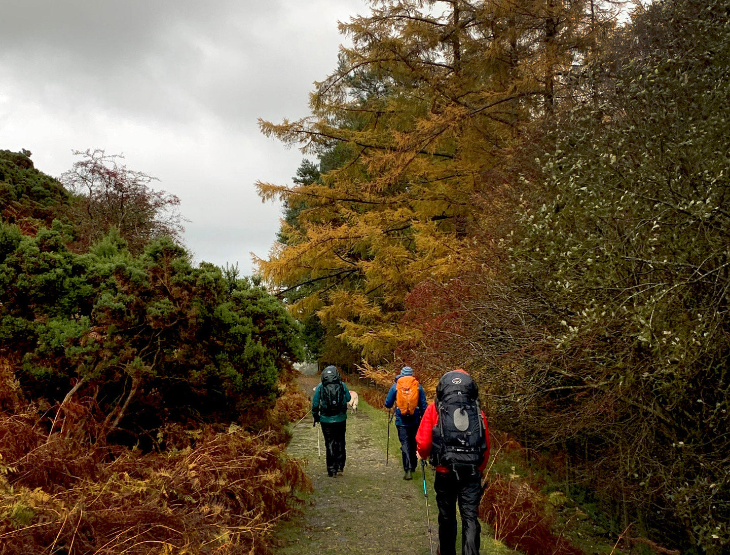 Up-skilling to help shape lives