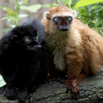 Following Nan - a slower, deeper style of mountaineering