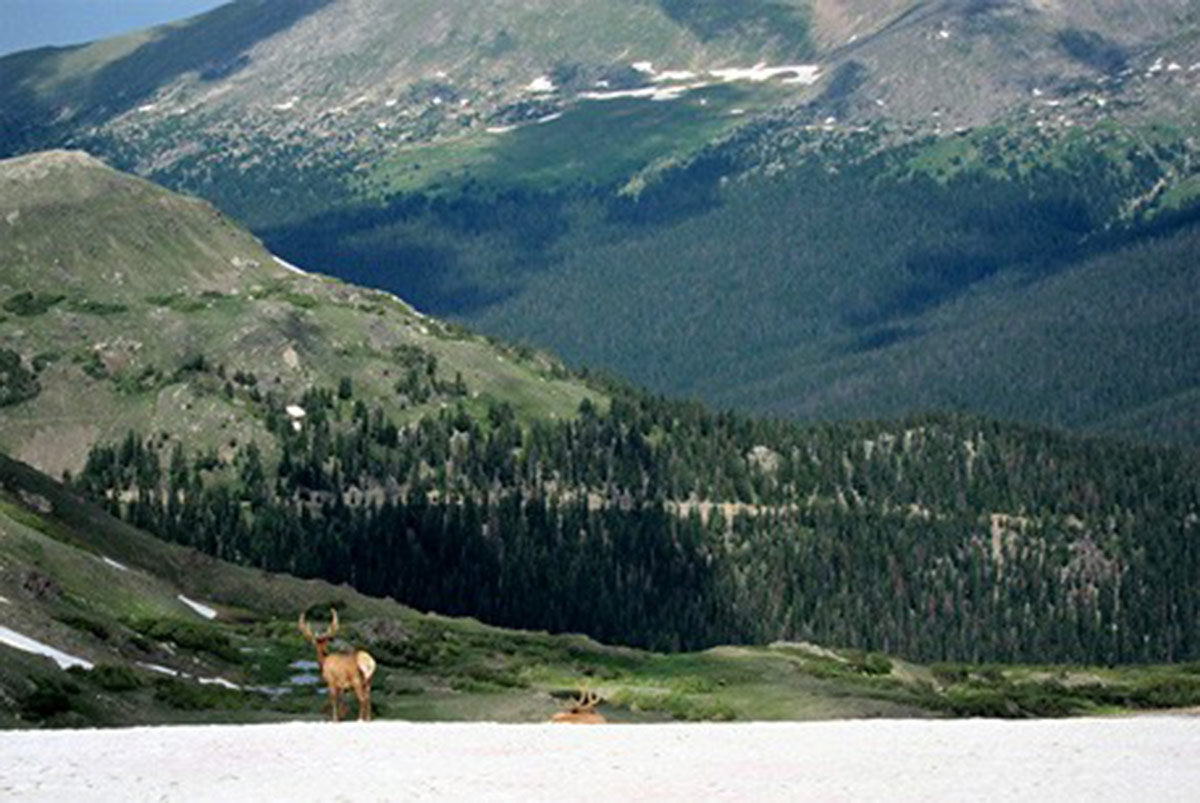 Detours, illness and the Colorado Trail race