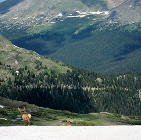 Detours, illness and the Colorado Trail race