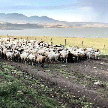 Top 10 UK Bikepacking Adventures