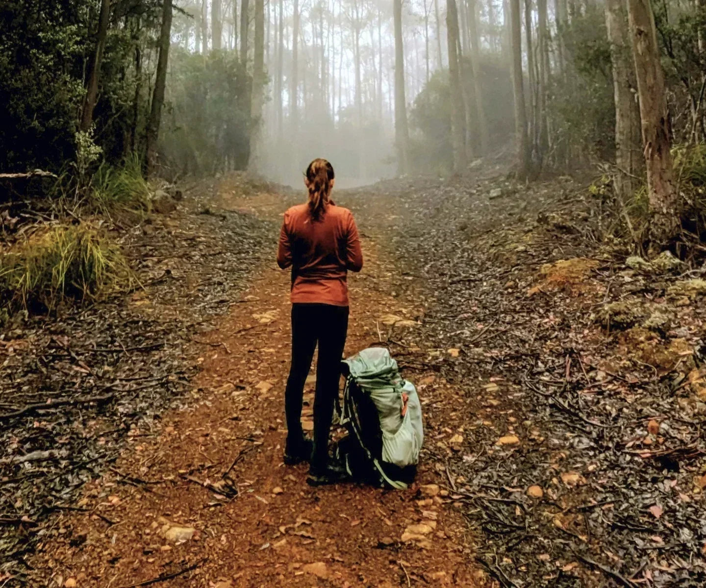 Trekking in the Tasmanian rainforest