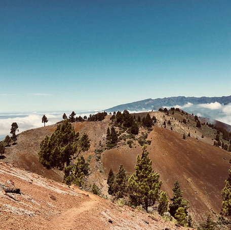 The Transvulcania