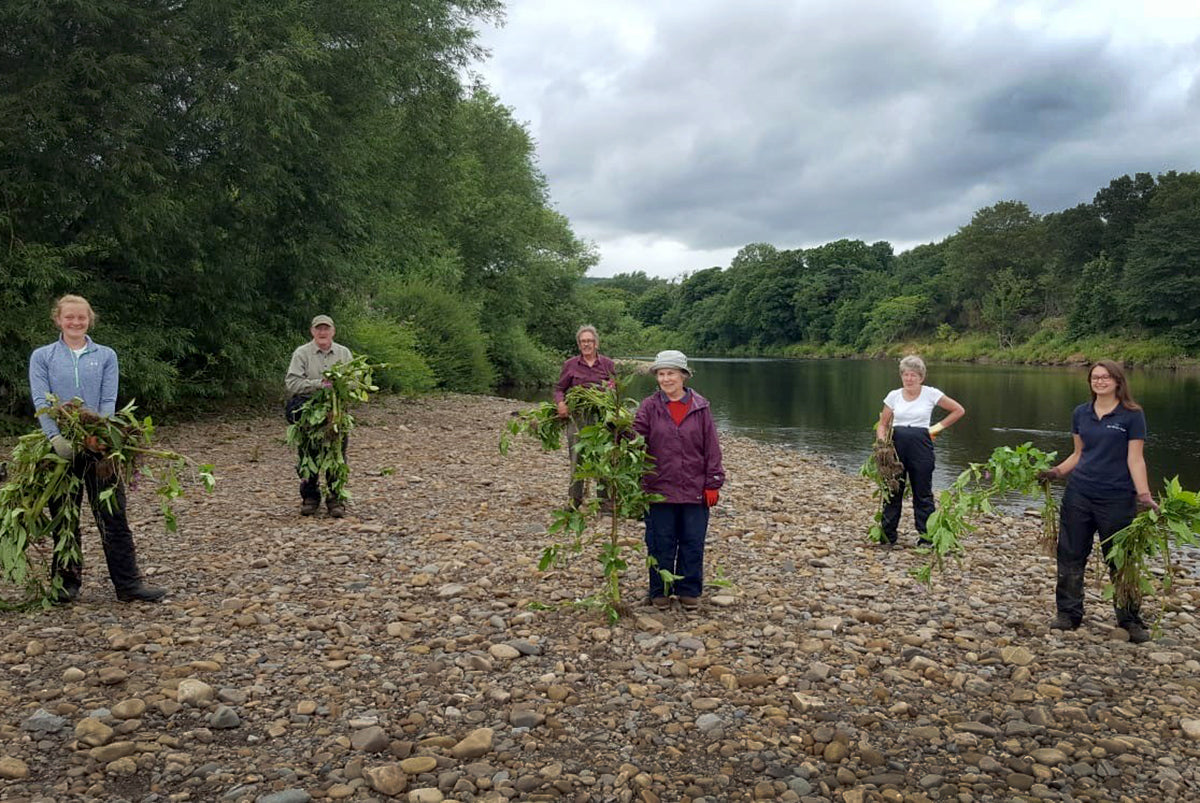 The Tyne River Brushcutter