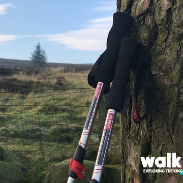 CarbonLite Ultra - First Look Review TGO