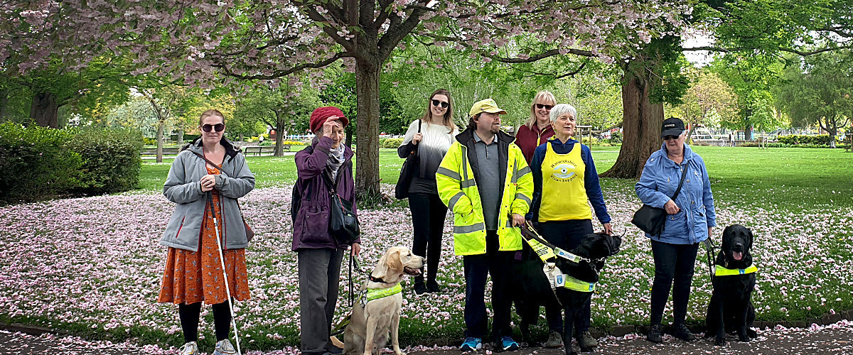 Warwickshire Vision Walks