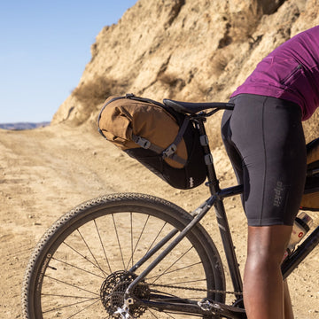 Shaggy and the Iditarod