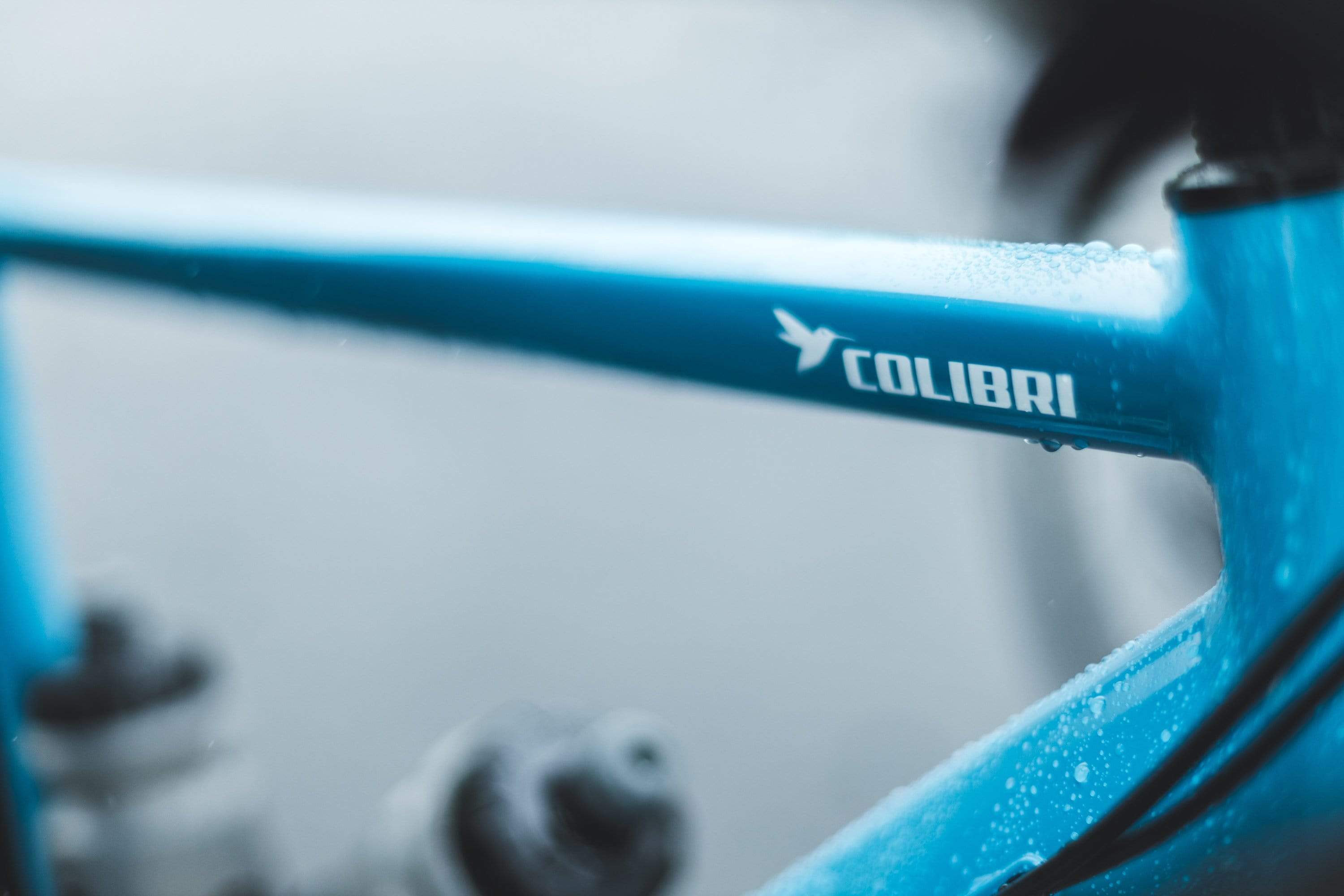 Sonder Colibri Al Frame and Fork